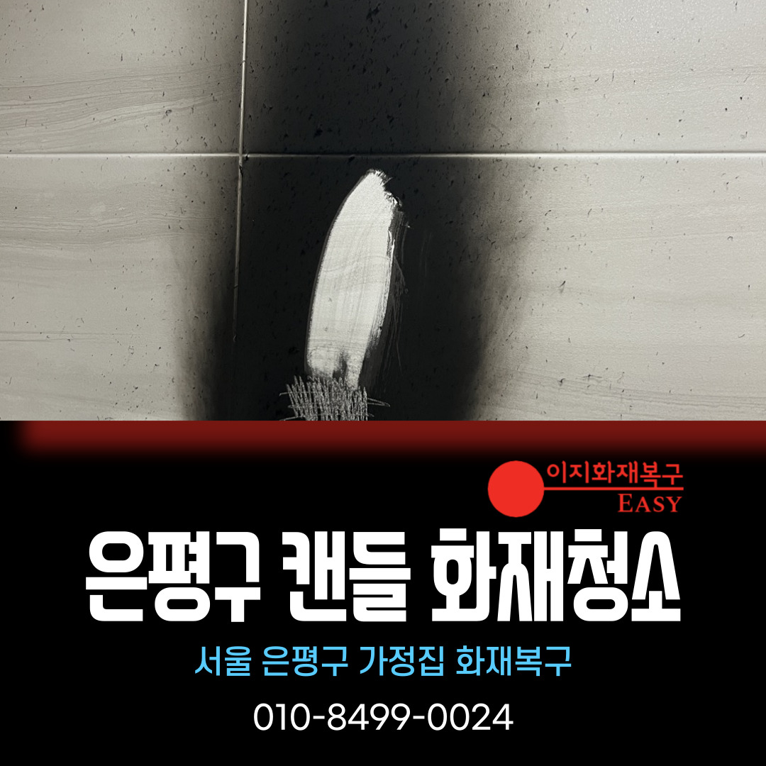 서울 은평구 화재청소